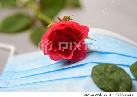 Close up of a pink rose on a surgical mask Close up of a pink rose on a surgical mask 73596128