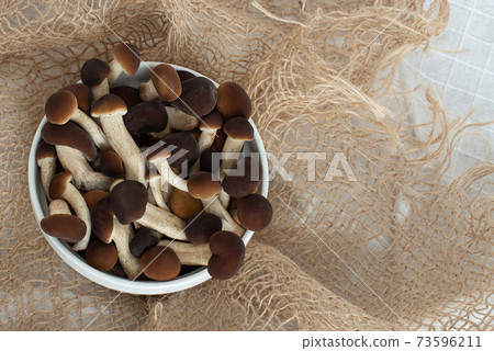 Mushrooms, honey mushrooms in a plate, on sacking. Copy space. Mushrooms, honey mushrooms in a plate, on sacking. Copy space. 73596211