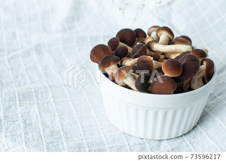 mushrooms, honey mushrooms in a plate, on sacking. Copy space mushrooms, honey mushrooms in a plate, on sacking. Copy space 73596217