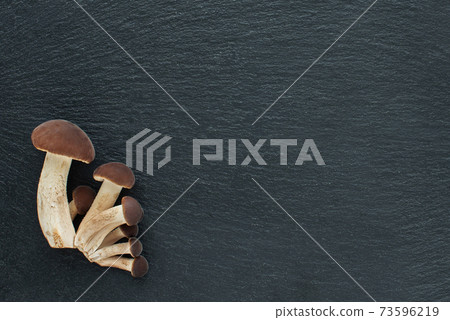 mushrooms, honey agarics on a black background. Black stone board. Copy space. Pattern 73596219