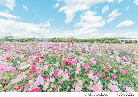 濱松市濱名湖花園公園宇宙場 濱松市濱名湖花園公園宇宙場 73596222