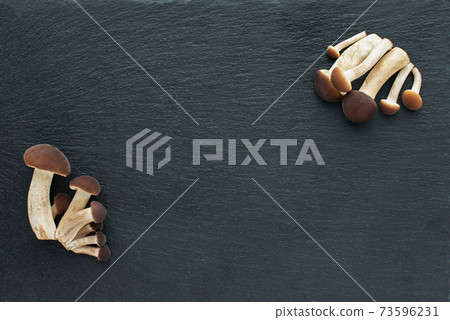 mushrooms, honey agarics on a black background. Black stone board. Copy space. Pattern mushrooms, honey agarics on a black background. Black stone board. Copy space. Pattern 73596231