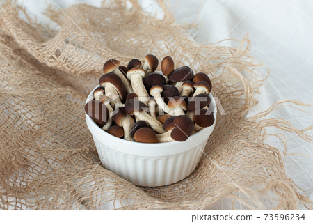 Mushrooms, honey mushrooms in a plate, on sacking. Copy space. 73596234