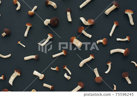 mushrooms, honey agarics on a black background. Black stone board. Copy space. Pattern 73596245