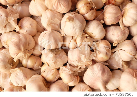 Large garlic background, Garlics texture 73597503
