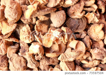 Dried Shiitake Mushroom, Lentinula edodes, Mushroom texture background Dried Shiitake Mushroom, Lentinula edodes, Mushroom texture background 73597504