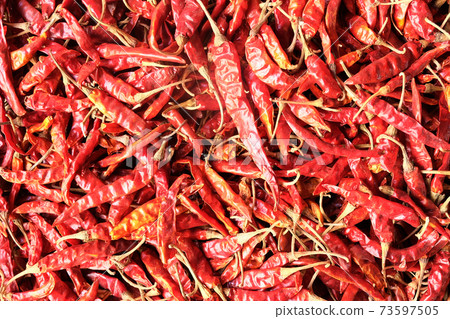 Red dried chillies background, Chillies texture Red dried chillies background, Chillies texture 73597505