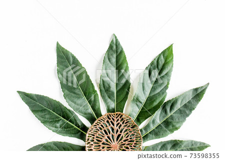 Tropical palm leaves Aralia isolated on white background. Tropical nature concept. Tropical palm leaves Aralia isolated on white background. Tropical nature concept. 73598355
