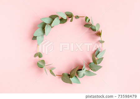 Wreath frame made of branches eucalyptus and leaves isolated on pink background. lay flat, top view Wreath frame made of branches eucalyptus and leaves isolated on pink background. lay flat, top view 73598479