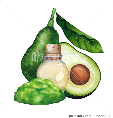 Watercolor essential oil bottle decorated with avocado fruits and leaves 73598805