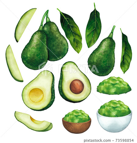 Watercolor avocado fruits and leaves isolated on white background Watercolor avocado fruits and leaves isolated on white background 73598854
