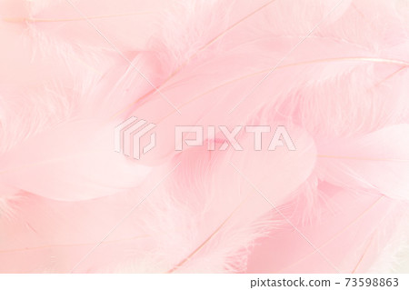 Pink feathers textured background. Feather background. Flat lay, top view Pink feathers textured background. Feather background. Flat lay, top view 73598863