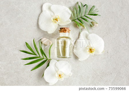 Essential oil, vegetable extract, serum, hyaluronic acid, facial cream, tropic palm leaves on gray marble background. Spa skincare concept. Natural Essential oil, vegetable extract, serum, hyaluronic acid, facial cream, tropic palm leaves on gray marble background. Spa skincare concept. Natural 73599066