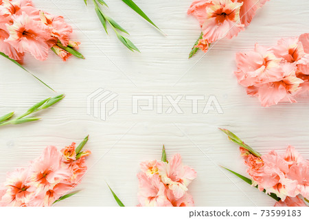 pink gladioluses on wooden white background. Floral pattern of gladioli holiday greeting card. Flat lay, top view. Frame of flowers. Flowers texture pink gladioluses on wooden white background. Floral pattern of gladioli holiday greeting card. Flat lay, top view. Frame of flowers. Flowers texture 73599183