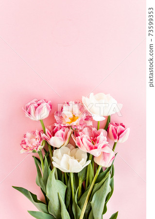 Pink tulips on pink background. Minimal floral concept greeting card. Flat lay, top view.  73599353