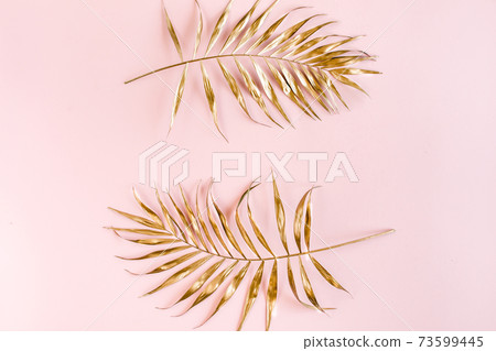 Gold tropical palm leaves on pink background. Flat lay, top view minimal concept. 73599445