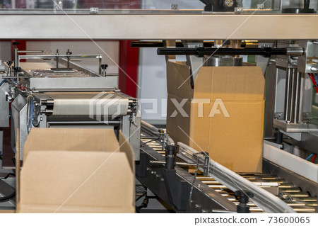 cardboard box of product packaging is moving on conveyor belt of automatic packing machine in the manufacturing factory ready for distribution to the market. logistic manufacturing systems and cardboard box of product packaging is moving on conveyor belt of automatic packing machine in the manufacturing factory ready for distribution to the market. logistic manufacturing systems and 73600065