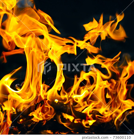 Fire flames on black background. Fire flames on black background. 73600110