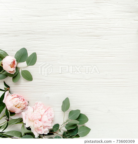 Border frame made of pink and beige peonies flower and isolated on white background. Flat lay, top view. Frame of flowers. 73600309