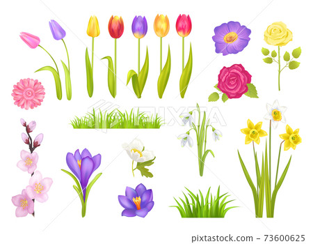 Flowers Collection Poster Vector Illustration 73600625