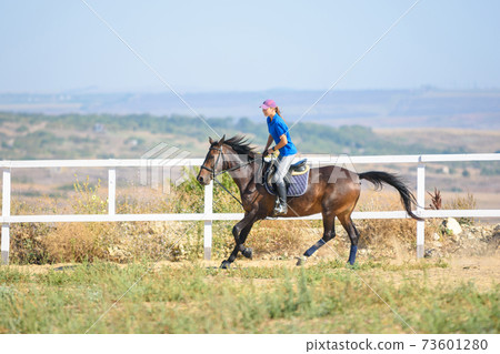 Girl rides a horse along the fence of the corral Girl rides a horse along the fence of the corral 73601280
