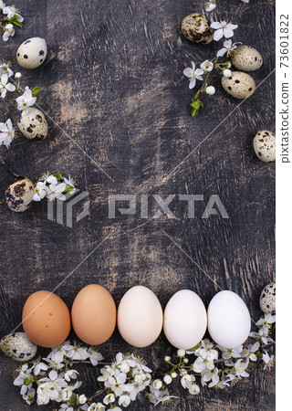 Chicken eggs gradient from light to dark Chicken eggs gradient from light to dark 73601822