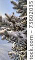 Photo with fluffy pine covered with snow in a snowy field 73602035