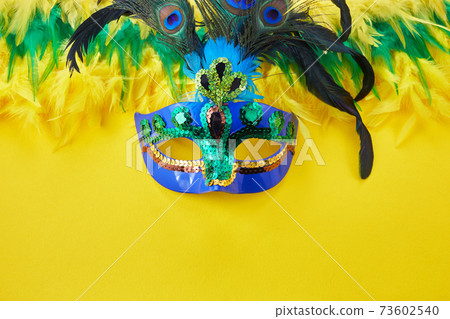Brasil Mardi gras carnival background with multicolor feathers and mask 73602540