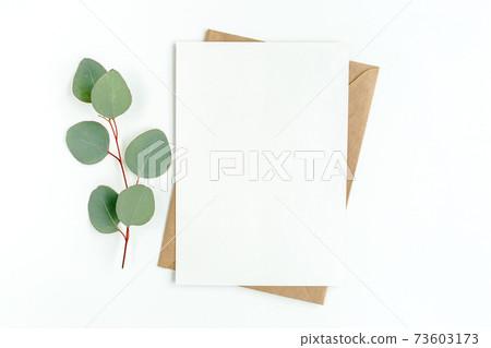 Mockup invitation, blank greeting card and green leaves eucalyptus. Flat lay, top view. Mockup invitation, blank greeting card and green leaves eucalyptus. Flat lay, top view. 73603173