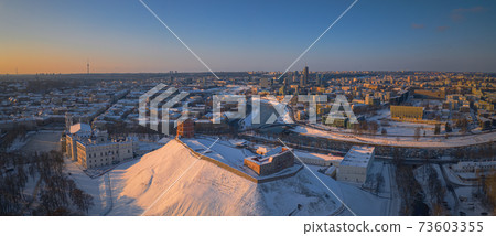 Gediminas castle tower in Vilnius, Capital of Lithuania Gediminas castle tower in Vilnius, Capital of Lithuania 73603355