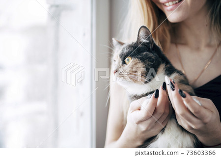 white woman with cat sitting by the window during the day white woman with cat sitting by the window during the day 73603366