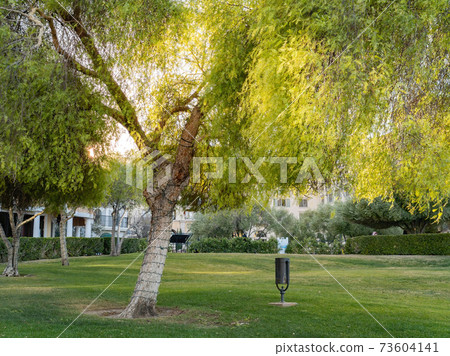 Afternoon view of the beautiful scenery around Lake Las Vegas 73604141