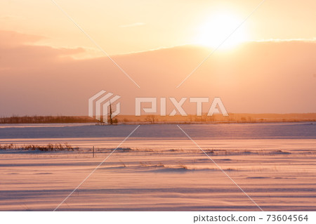 強風雪場 73604564