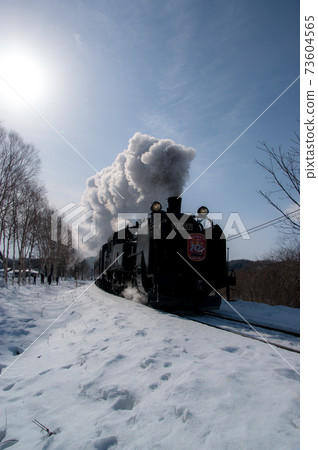 垂直構圖SL 73604565