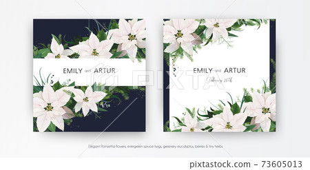 Winter season wedding floral invite, invitation, greeting card editable vector template set. White Poinsettia flowers, Christmas spruce tree branches, Eucalyptus, greenery leaves bouquet frame, border 73605013