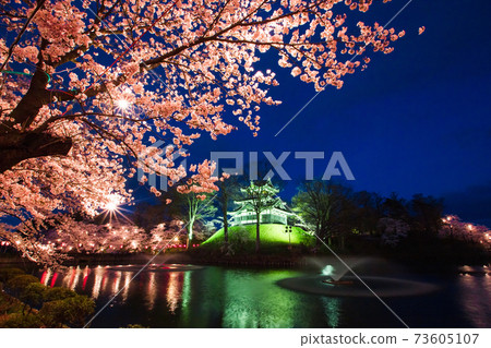 高田城堡遺址公園水中倒映的櫻花夜 高田城堡遺址公園水中倒映的櫻花夜 73605107