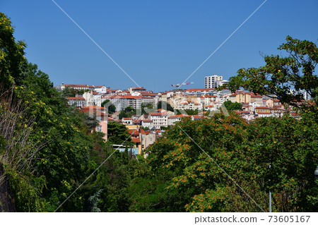 Cityscape seen from the hills of Fourviere, Lyon, France Cityscape seen from the hills of Fourviere, Lyon, France 73605167