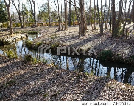 貫穿中之森森林公園的水道(50種帶日野海濱景觀) 貫穿中之森森林公園的水道(50種帶日野海濱景觀) 73605332