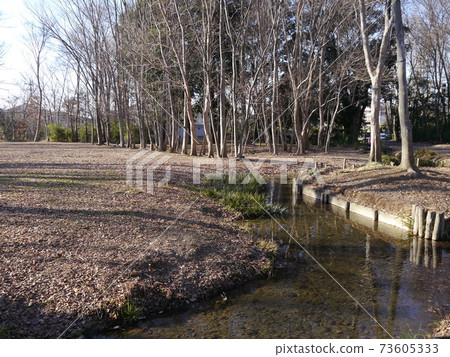 貫穿中之森森林公園的水道（50種帶日野海濱景觀） 73605333