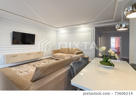 Luxury grey and white modern kitchen and living room Luxury grey and white modern kitchen and living room 73606214