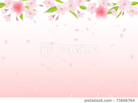 櫻花插圖素材(矢量/背景素材) 櫻花插圖素材(矢量/背景素材) 73606764