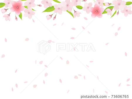 櫻花的插圖素材（矢量，白色背景，摳圖） 73606765