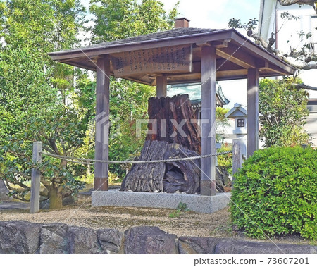 義經坐松大Tai神社 義經坐松大Tai神社 73607201
