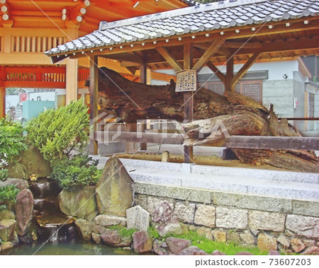 義經坐松須治 義經坐松須治 73607203