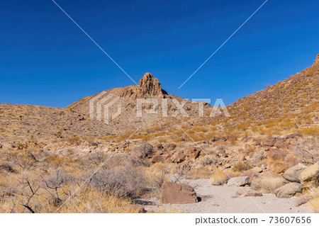 Sunny view of the beautiful landscape around Petroglyph Canyon Trail Sunny view of the beautiful landscape around Petroglyph Canyon Trail 73607656