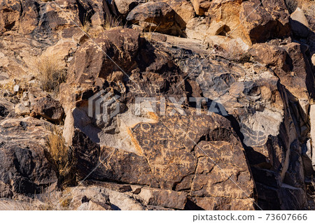 Sunny view of the beautiful landscape around Petroglyph Canyon Trail Sunny view of the beautiful landscape around Petroglyph Canyon Trail 73607666