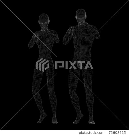 Wireframe male and female nude comparison perming3DCG illustration material Wireframe male and female nude comparison perming3DCG illustration material 73608315