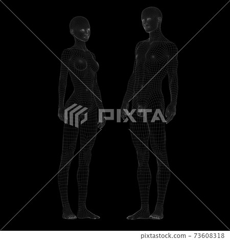 線框公母裸對比perming3DCG插畫素材 線框公母裸對比perming3DCG插畫素材 73608318