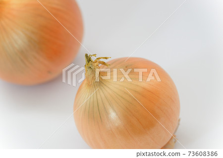 蔬菜洋蔥 73608386