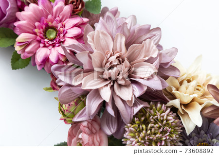 花白背 照片素材 圖片 7360 圖庫